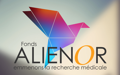 Fonds de dotation : Aliénor affiche ses thématiques de recherche