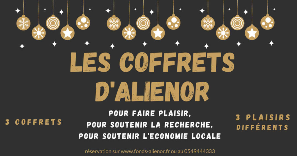 Les coffrets de Noël d'Aliénor