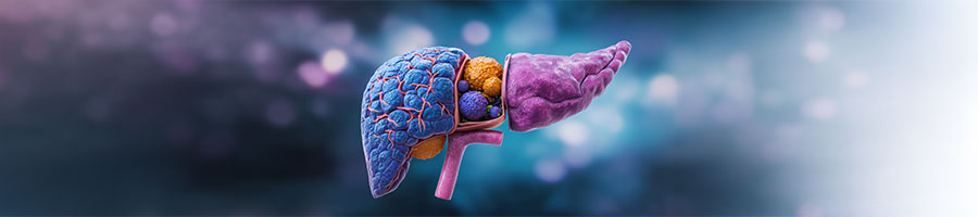 Traitement pancréas Camille Evrard