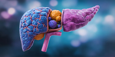 menu-evrard menu-evrard